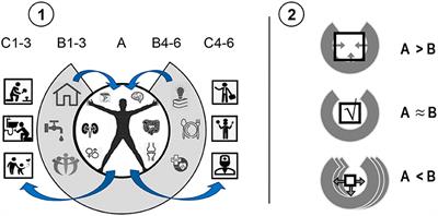 Functional Constructivism Approach to Multilevel Nature of Bio-Behavioral Diversity